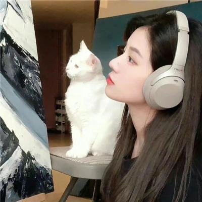 发财日记